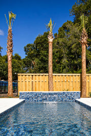 Backyard pool with an Ocean Blue Artisan 6x6 porcelain tiled wall and waterline, framed by palm trees and a wood fence.
