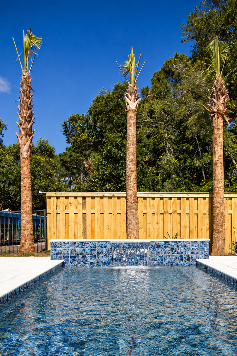 Backyard pool with an Ocean Blue Artisan 6x6 porcelain tiled wall and waterline, framed by palm trees and a wood fence.