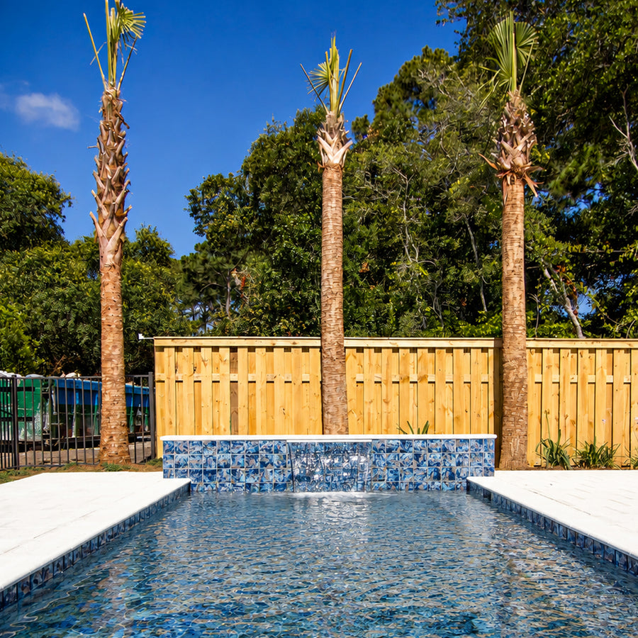 Backyard pool with an Ocean Blue Artisan 6x6 porcelain tiled waterline, framed by palm trees and a wood fence.